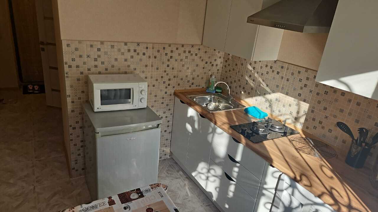 1-ком квартира рядом с Театром Оперы и Балета